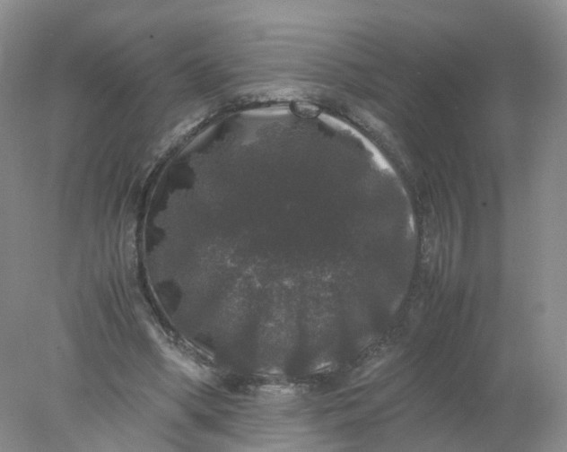 X0000078020394200611101852