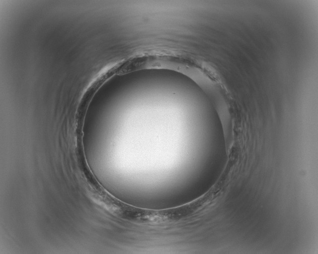 X0000078020395200611101852