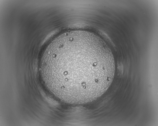 X0000078020396200611101852