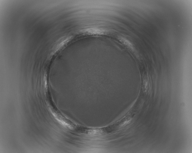 X0000078020398200611101852