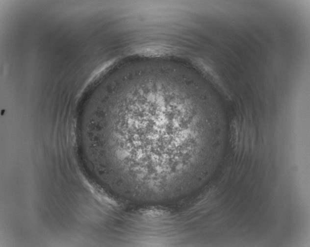 X0000078020400200611101852