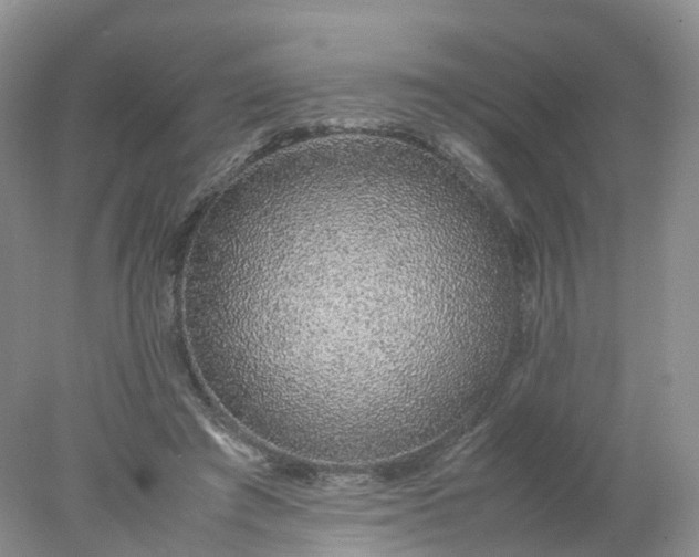 X0000078020401200611101852