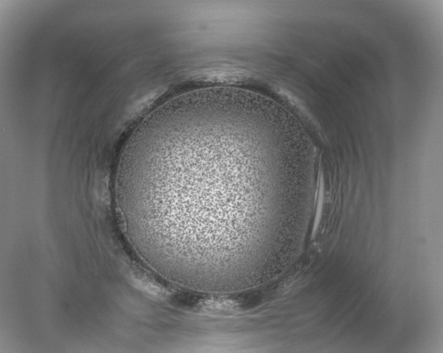 X0000078020403200611101852