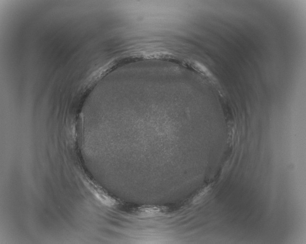 X0000078020405200611101852