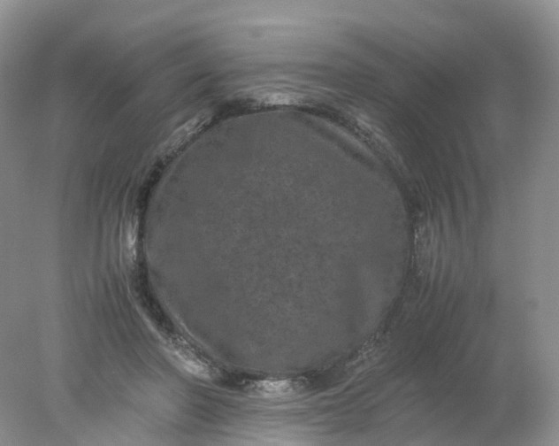 X0000078020406200611101852