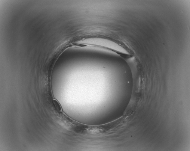 X0000078020407200611101852