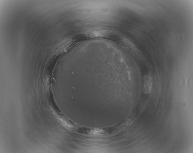 X0000078020410200611101852