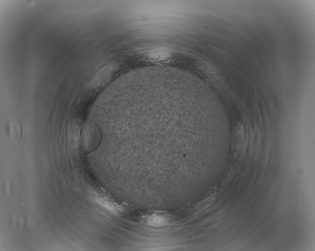 X0000078020412200611101852