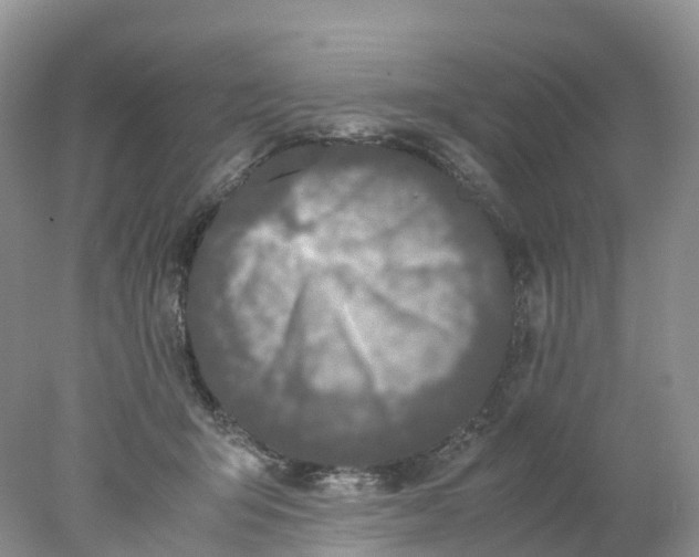 X0000078020415200611101852