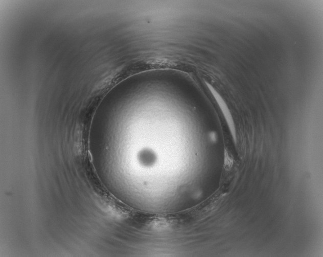 X0000078020416200611101852