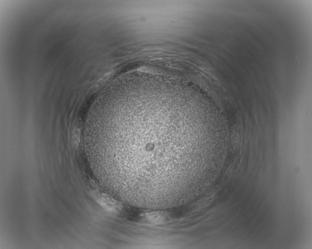 X0000078020417200611101852