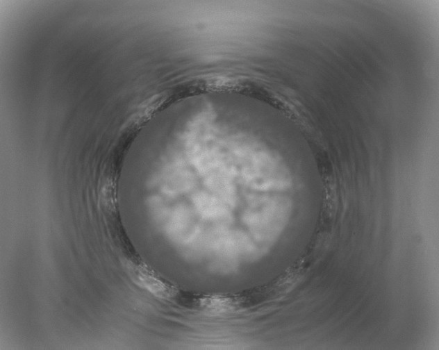 X0000078020419200611101852