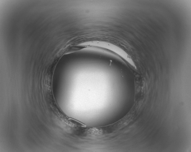 X0000078020421200611101852