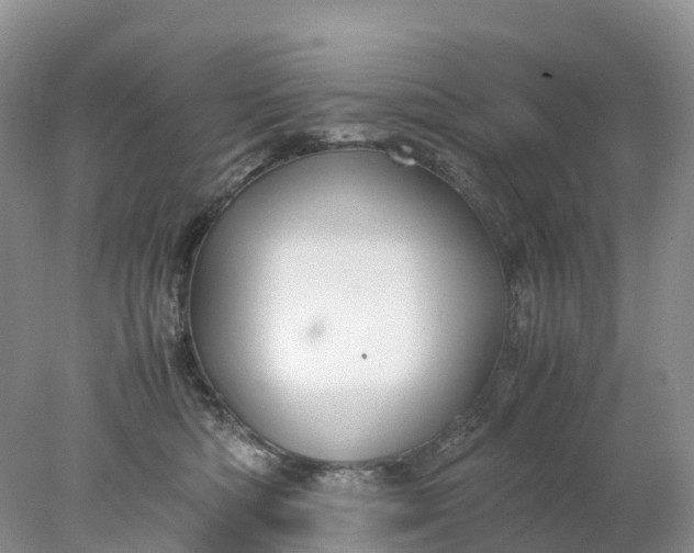 X0000078020422200611101852