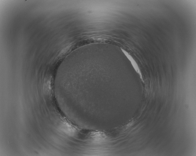 X0000078020424200611101852