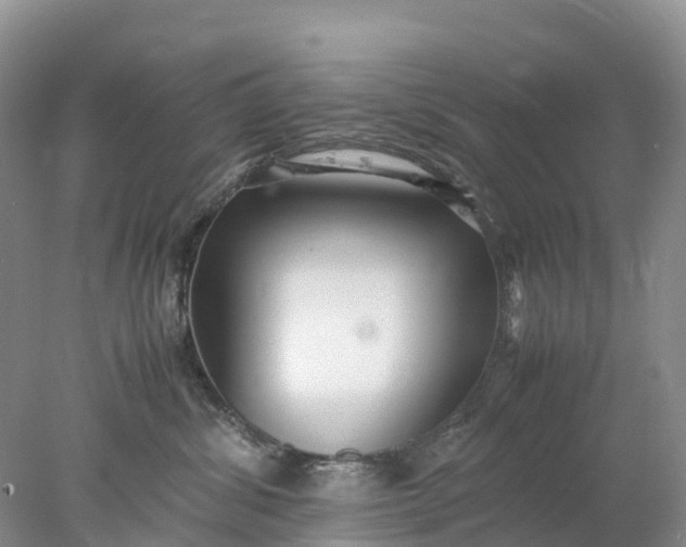 X0000078020428200611101852