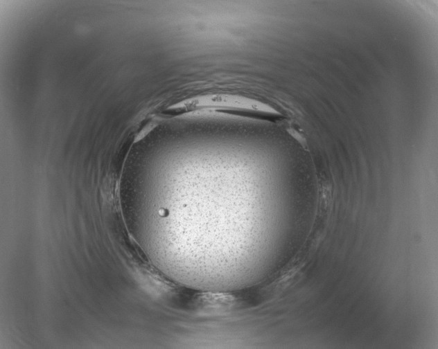 X0000078020429200611101851