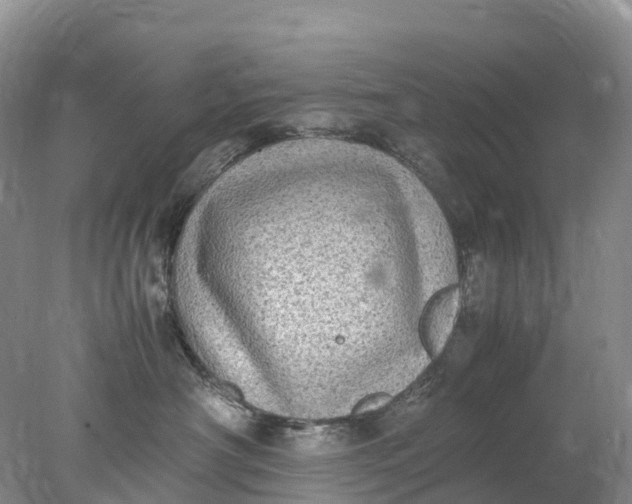 X0000078020430200611101851