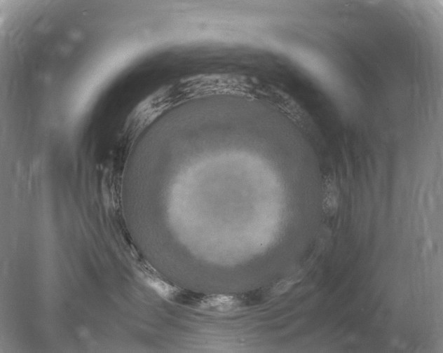 X0000078020431200611101851