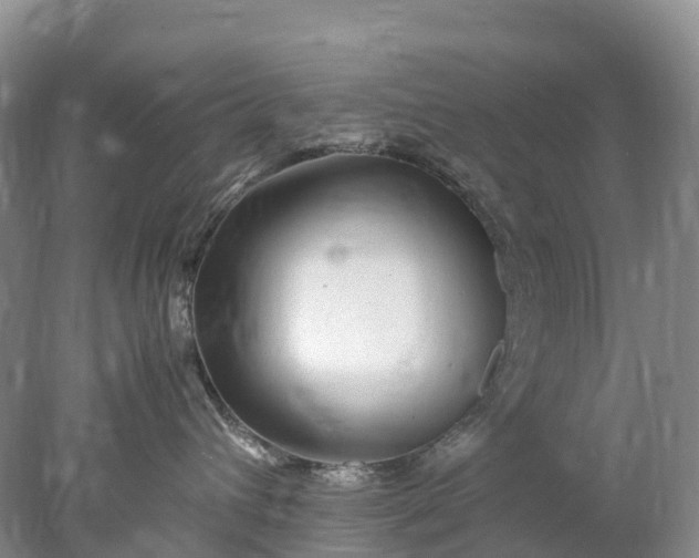 X0000078020432200611101851