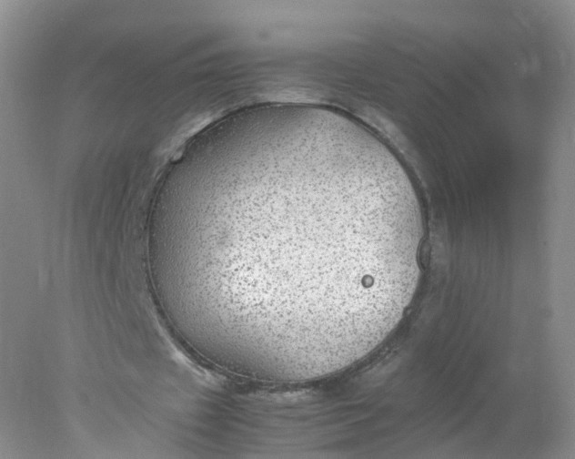 X0000078020433200611101851