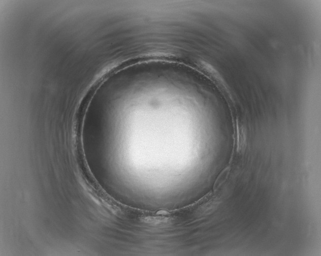 X0000078020435200611101851