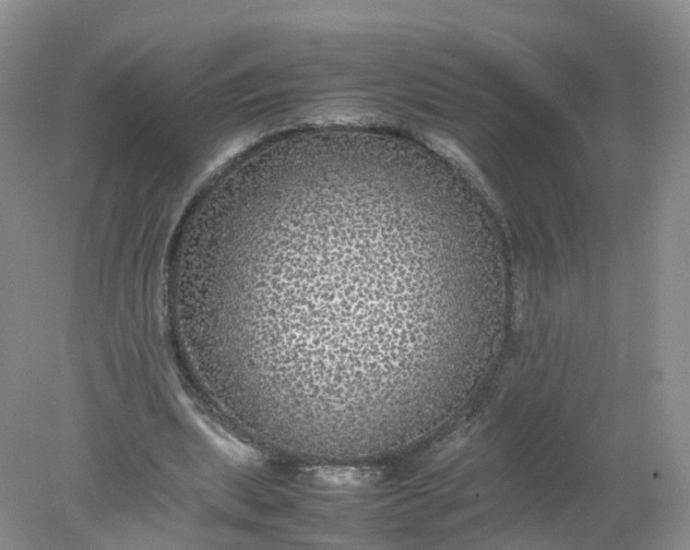 X0000078020439200611101851