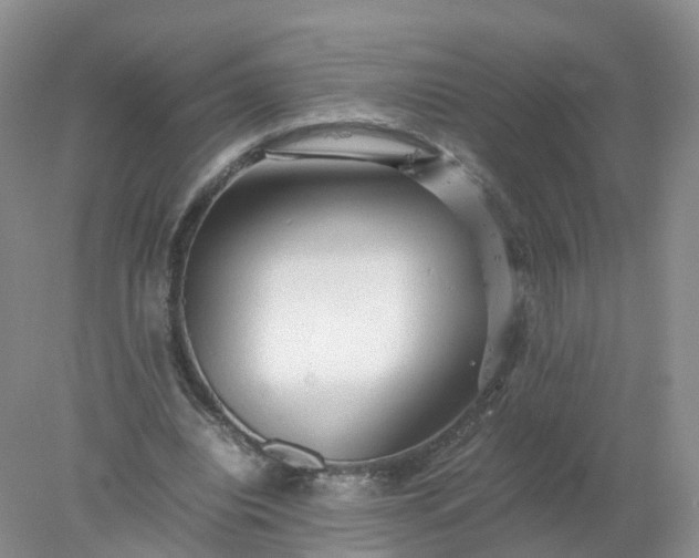 X0000078020440200611101851