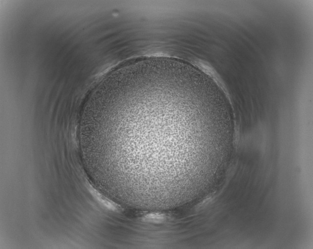 X0000078020441200611101851