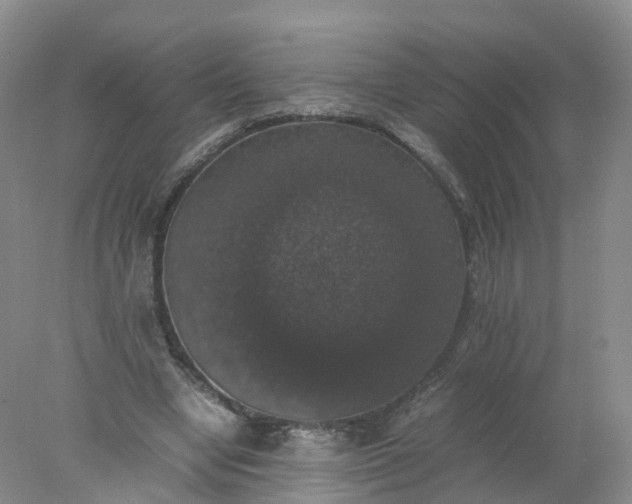 X0000078020442200611101851