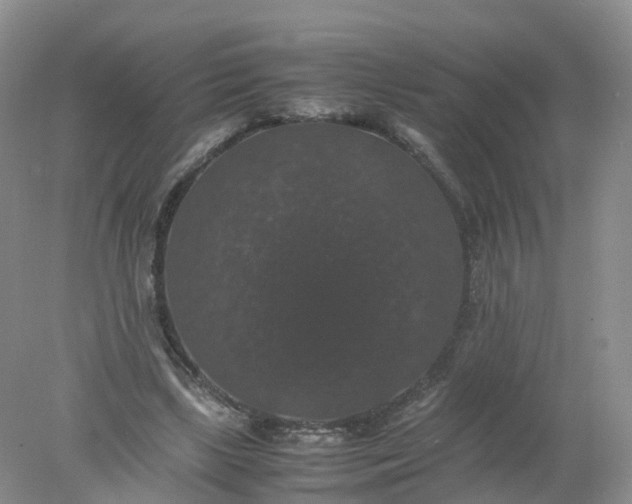 X0000078020443200611101851