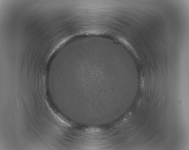 X0000078020444200611101851