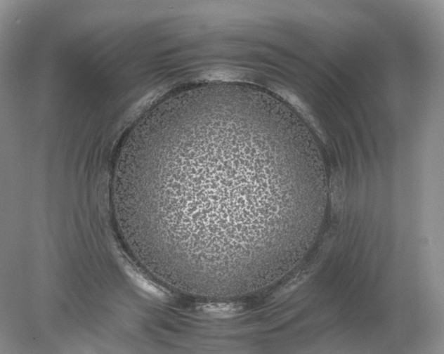 X0000078020445200611101851