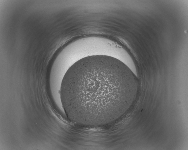 X0000078020447200611101851