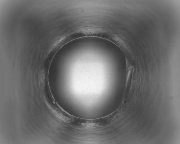 X0000078020448200611101851