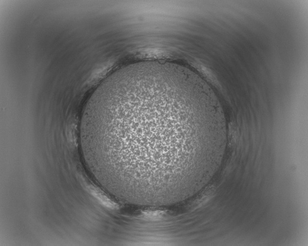 X0000078020450200611101851