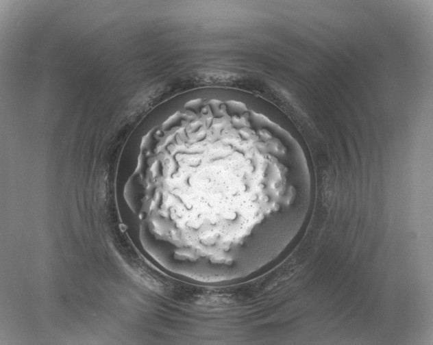 X0000078020451200611101851