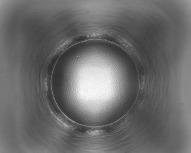 X0000078020452200611101851