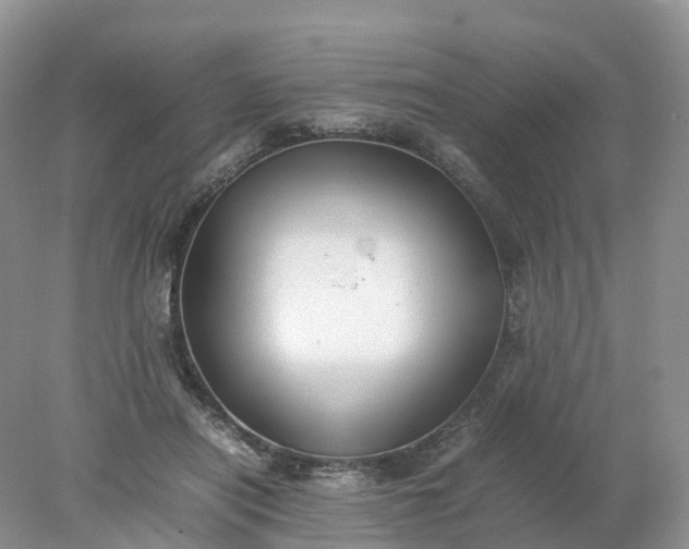 X0000078020454200611101851