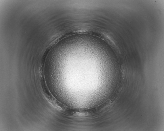 X0000078020455200611101851