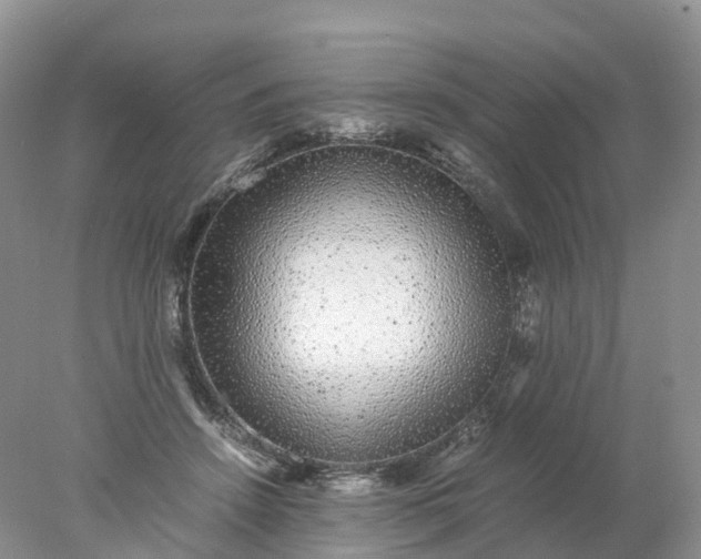 X0000078020456200611101851