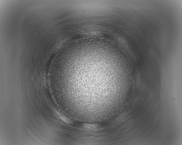 X0000078020457200611101851