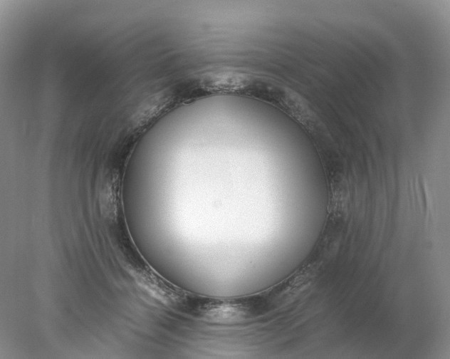 X0000078020460200611101851