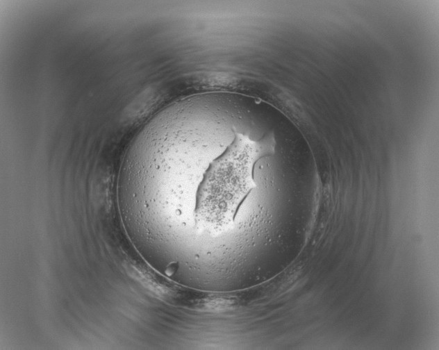 X0000078020462200611101851