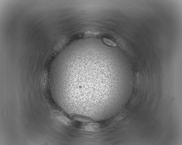 X0000078020463200611101851