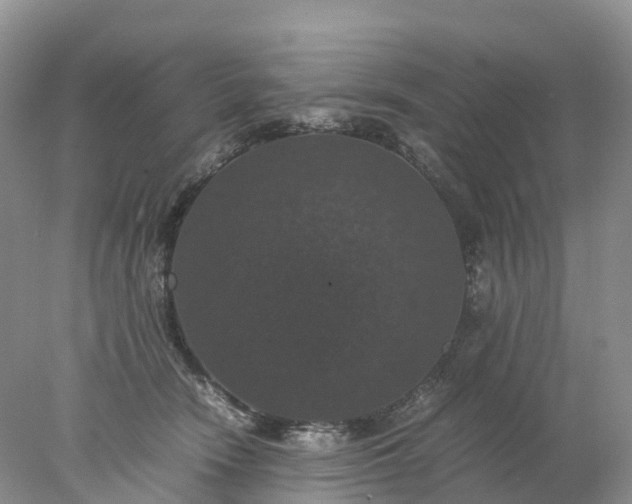 X0000078020466200611101851