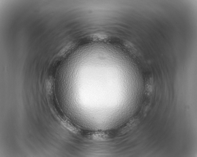 X0000078020468200611101851