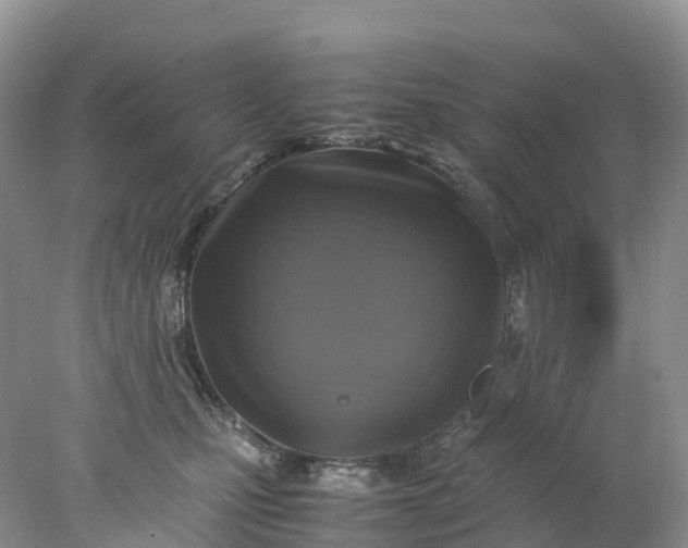 X0000078020471200611101851