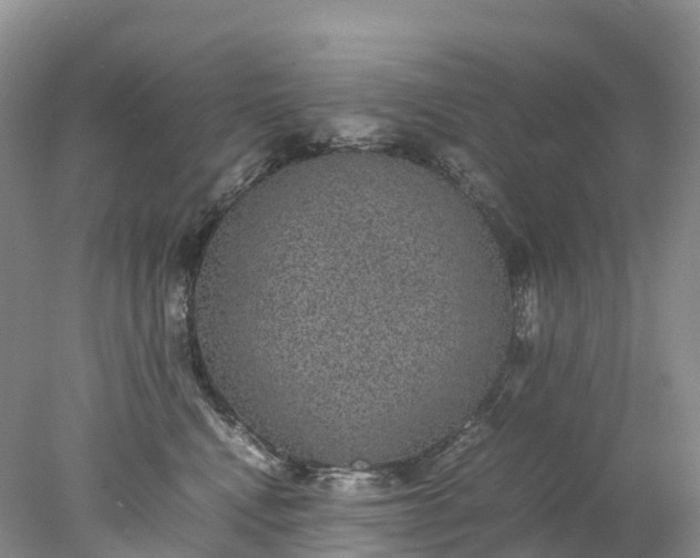 X0000078020472200611101851