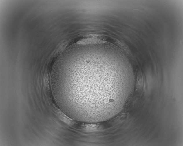 X0000078020473200611101851